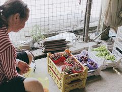 -马陆小张葡萄园农家乐