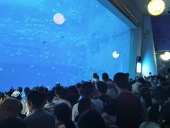 -南昌融创海世界