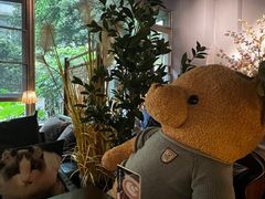 -咖法森林·咖啡  酒吧(天河店)
