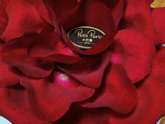 -PETIT PARIS 小巴黎(花园道店)