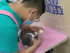 -北京观赏动物医院·24小时大型综合·猫专科·异宠专科