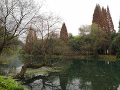 -贵阳市花溪国家城市湿地公园