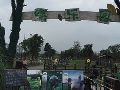 -田园东方蜜桃村的田野营地