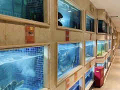 水产区-顺峰(农展馆店)