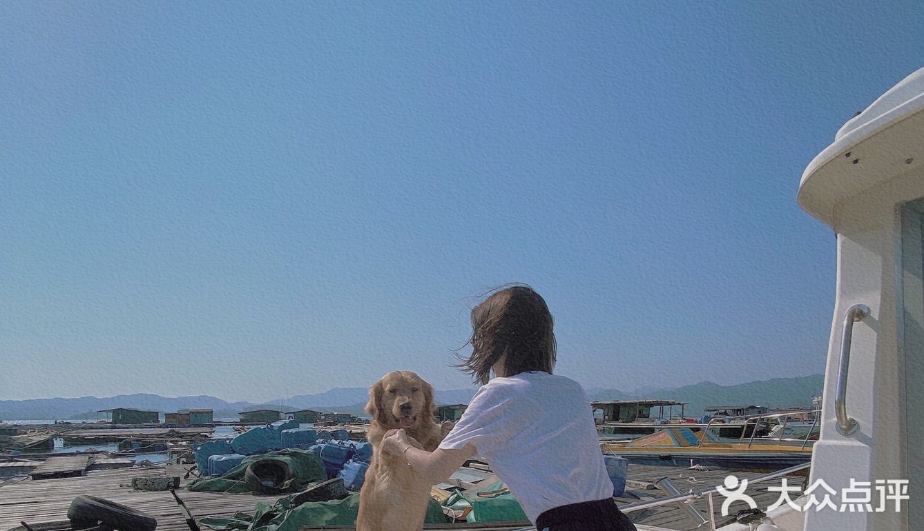 2020最后一天写给汪星人