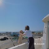 2020最后一天写给汪星人