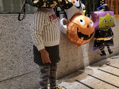 -香格里拉鱼跃地中海西餐厅·牛排披萨