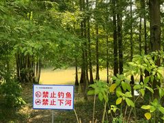 -桤木河湿地公园