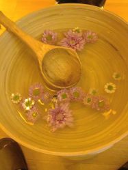 -栖SPA·ONDA ·海菲秀·皑皑科技美肤中心