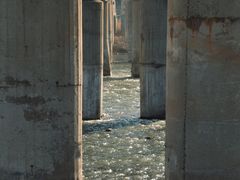 -绿堤公园
