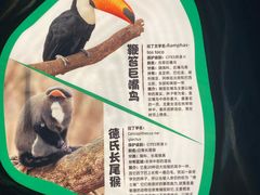-贵州森林野生动物园