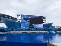 -上海海昌海洋公园