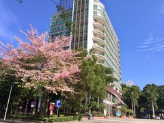 -广东金融学院(校本部)