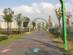 -菊园百果园