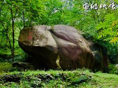 -云岫谷自然风景区