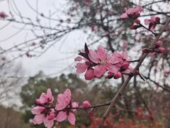 -洋湖国家湿地公园