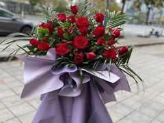 -淘花源花艺鲜花店 开业花篮 绿植(南部商务区店)