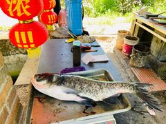 -姥家大锅台水库渔家