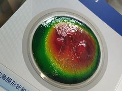 -武汉大学附属爱尔眼科医院(湖北总院)