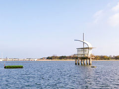 -刘家湾赶海园