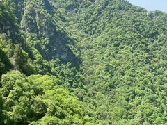 -少华山国家森林公园