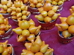 -越秀西湖花市(广州城市广场花卉店)