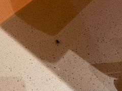 -海底捞火锅(漫乐城夜宵主题店)