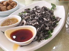 -新世纪绿洲(抚顺店)