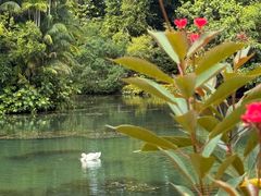 -植物园哈利亚餐厅
