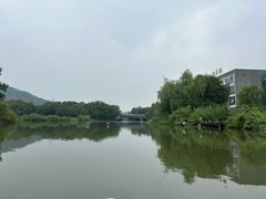-长广溪湿地公园