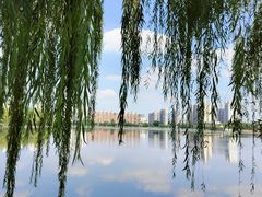 -莫愁湖公园