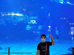 -烟台海昌鲸鲨海洋公园