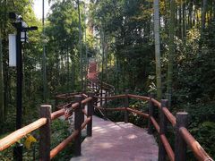 -山沟沟景区