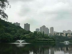-重庆彩云湖湿地公园
