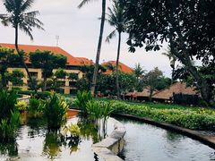 -Rock Bar Bali(Bali)