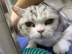 -佳雯宠物医院·皮肤科·内外科(春晓路分院)