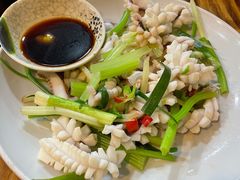 鲜鱿鱼-潮粥馆(长江花园店)