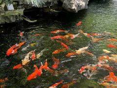 -新世纪大酒楼·30年南海菜