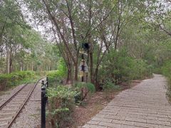 -西青郊野公园
