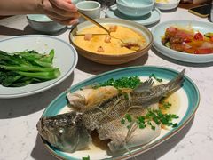 -大榕树下顺德菜(融创茂店)