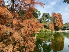 -广州市白云山风景名胜区