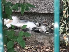 -北京外交人员免税商店(分店)