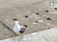 -星海广场