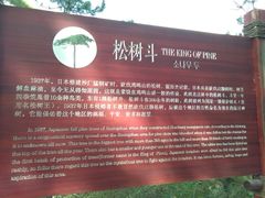 景点-辛安庄鸡鸣山景区