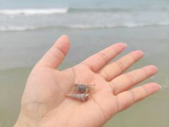 -侨港海滩