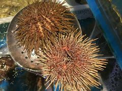 -炉鼎记私房菜(总店)