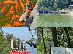 -沂蒙山旅游区云蒙景区(蒙山国家森林公园)