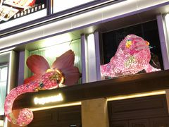 -帕帕拉兹宠物(亚洲旗舰店)