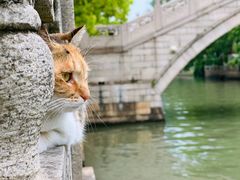 -西园寺