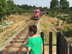 -武汉紫薇都市田园